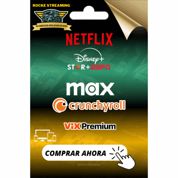 NETDISMAXVIXCHYROLL